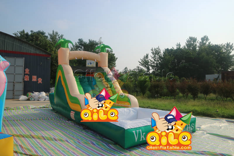 QILE-WS001