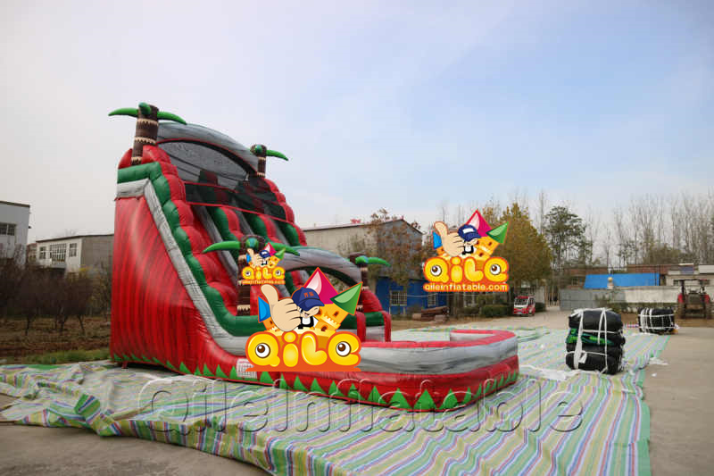 QILE-WS003