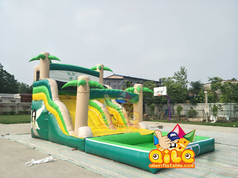 QILE-WS009