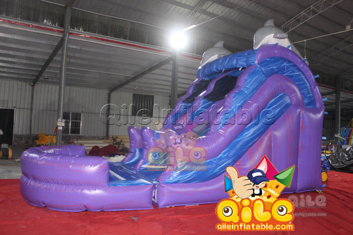 QILE-WS016