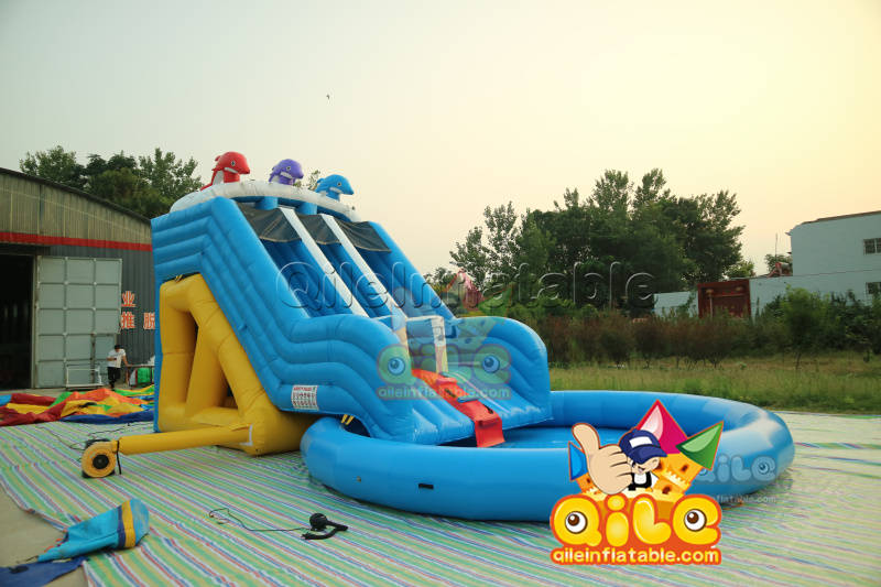 QILE-WS019