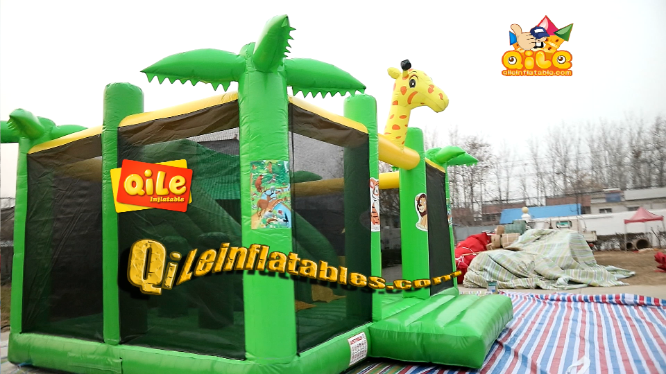 QILE-CO066