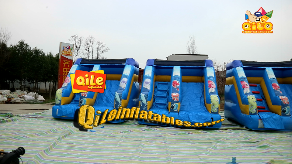 QILE-DS044