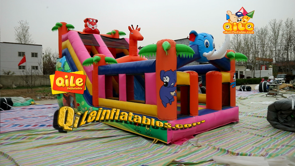 QILE-DS063