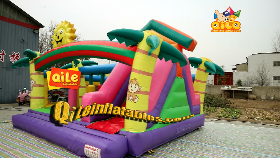 QILE-IP016