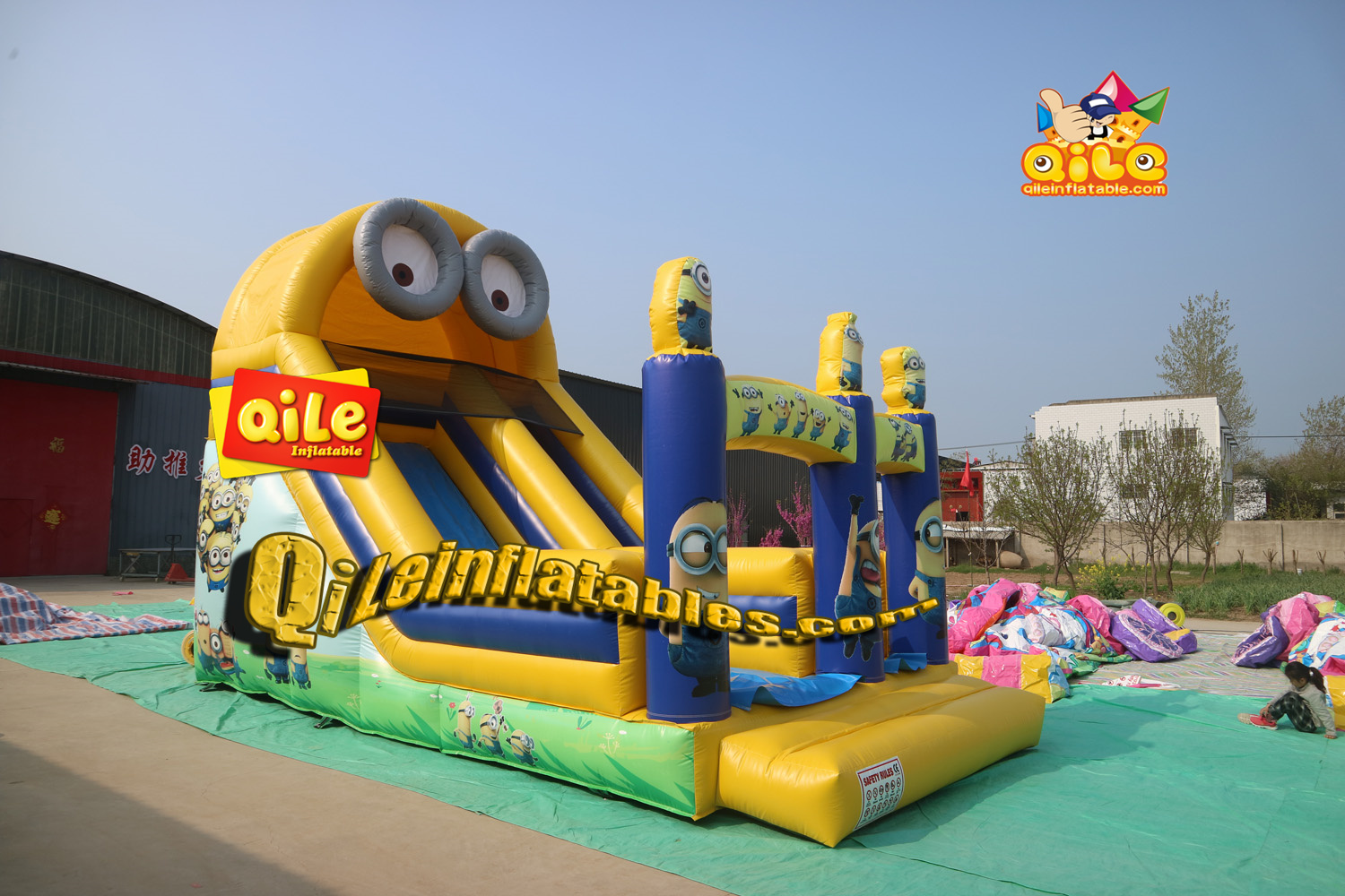 QILE-DS079