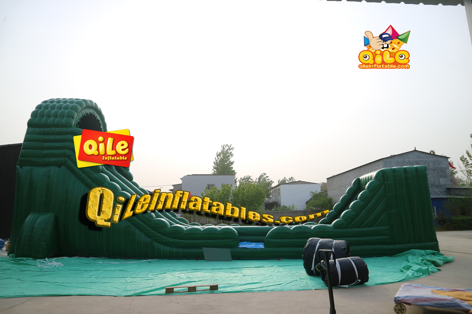 QILE-DS084