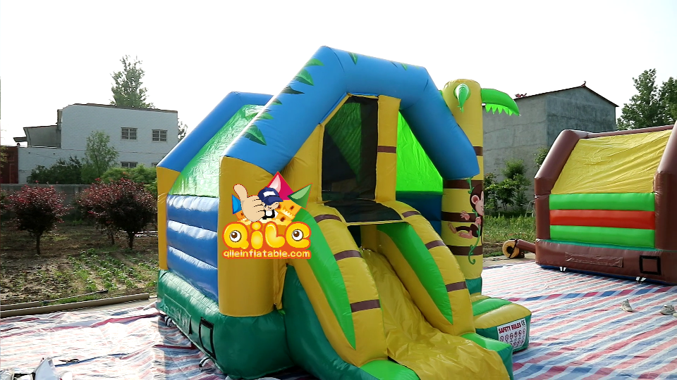QILE-HS054