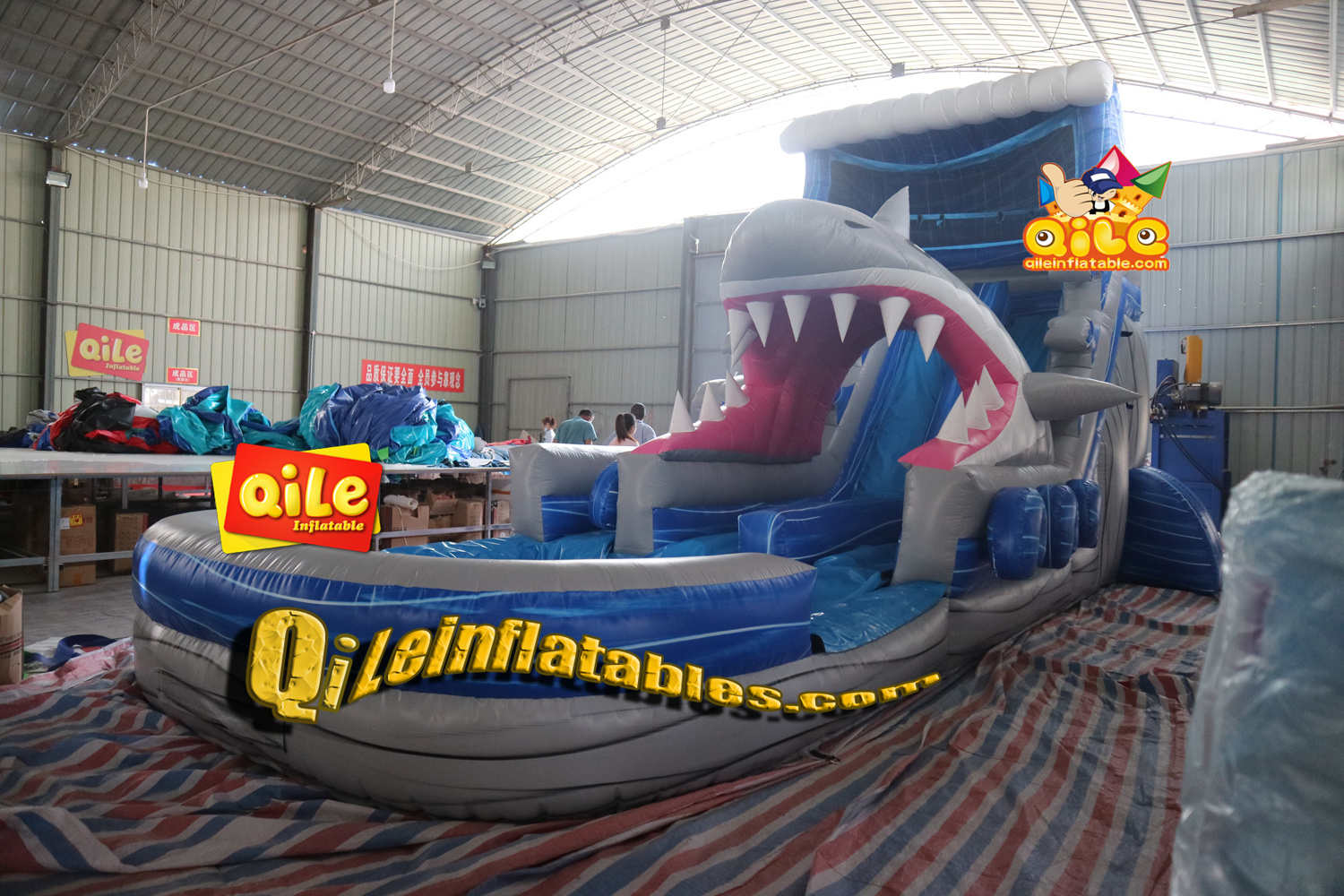 QILE-WS100