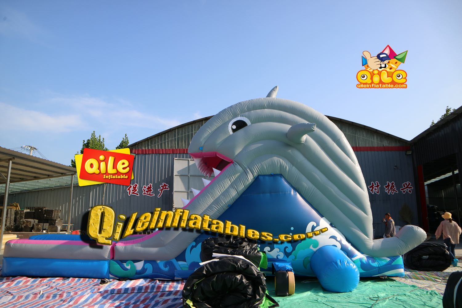 QILE-WS103