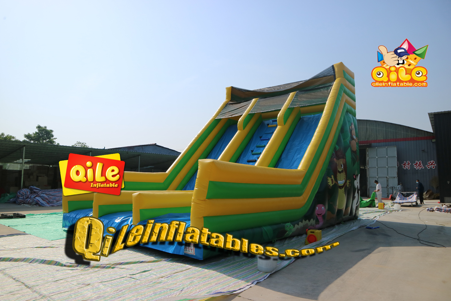 QILE-DS096