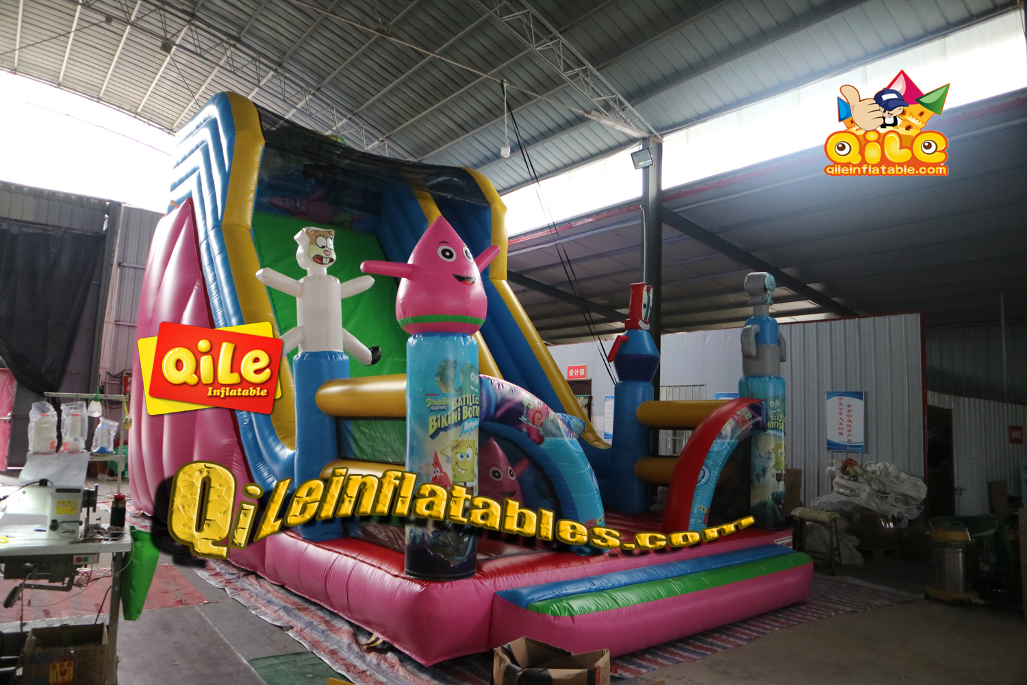QILE-DS100