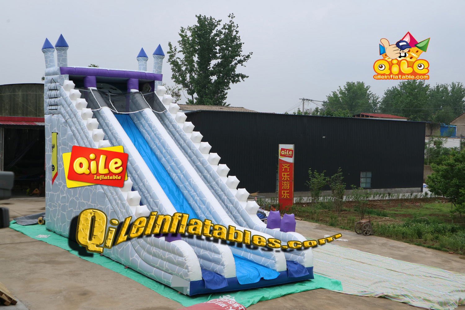 QILE-DS101