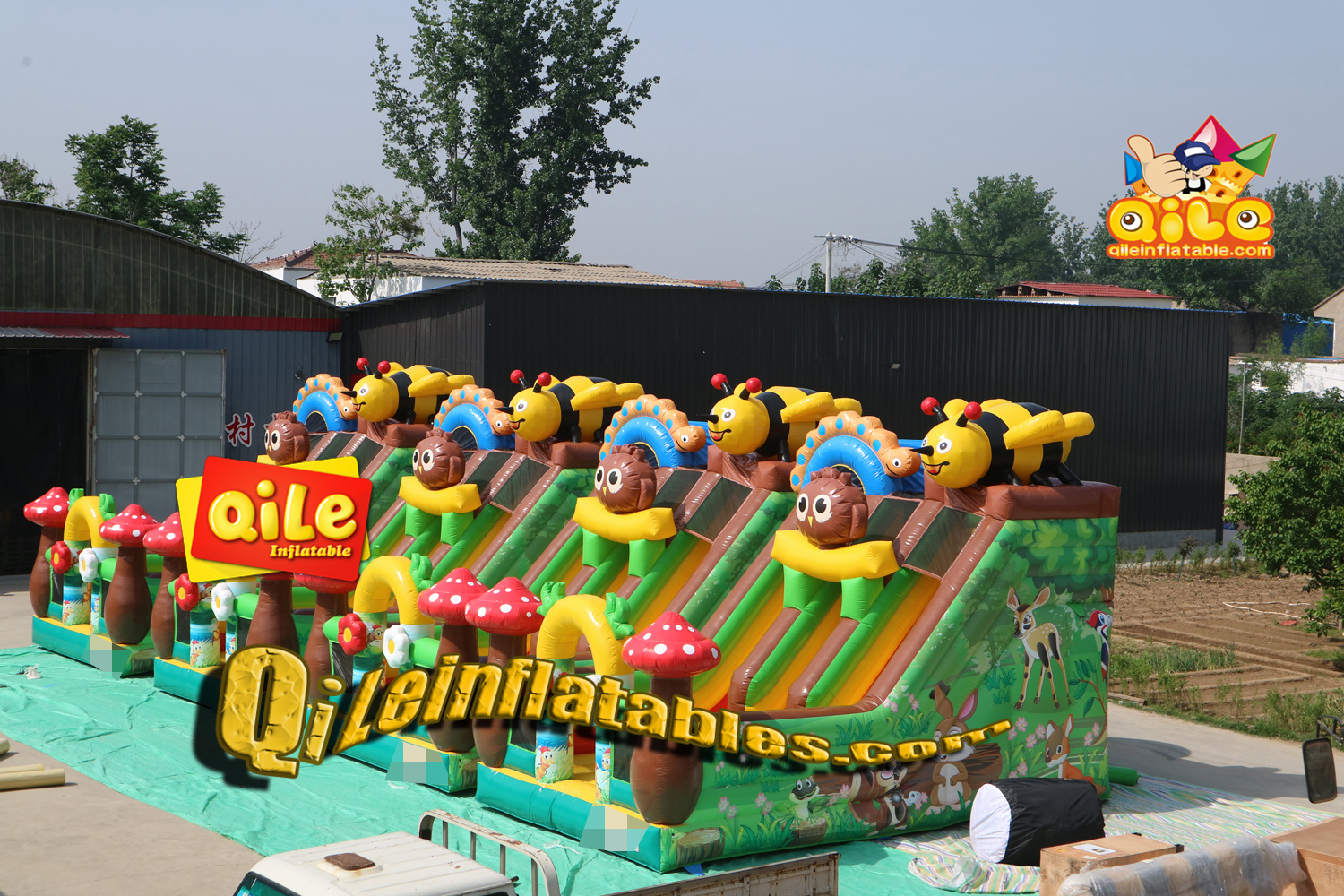 QILE-HS066