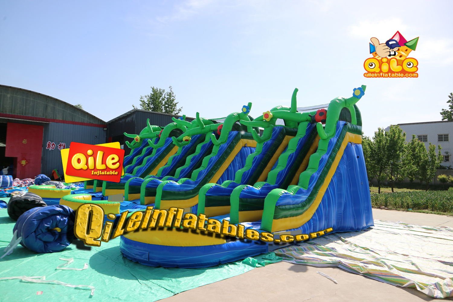 QILE-HS081