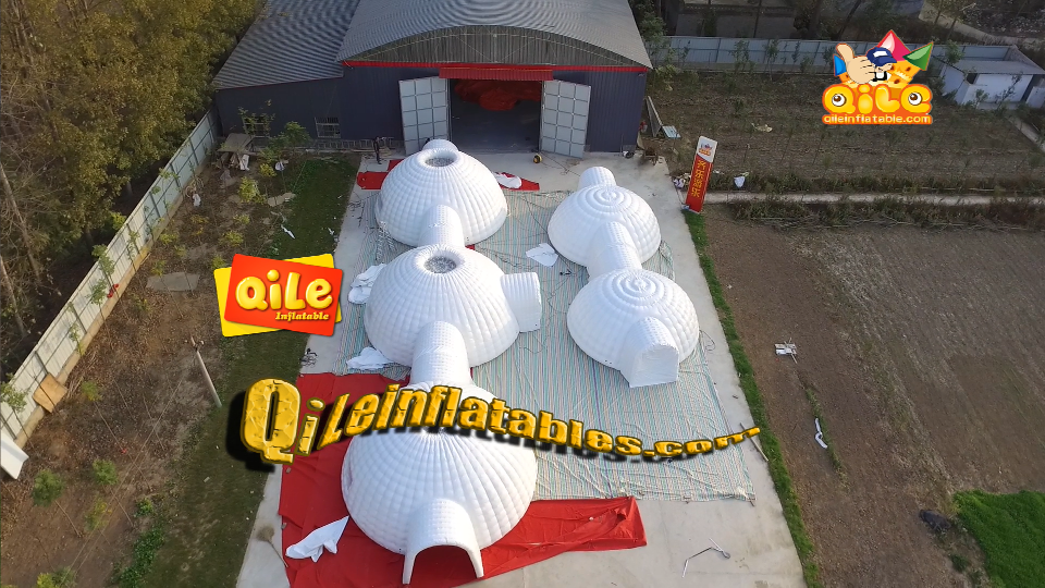 QILE-G005