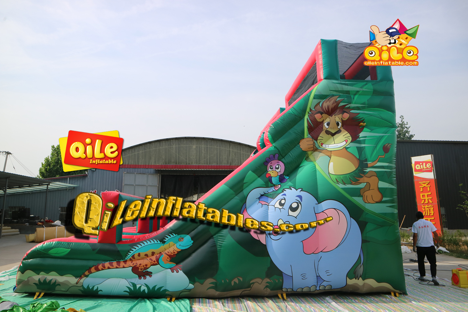 QILE-HS086