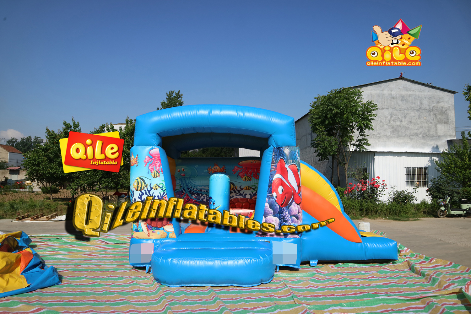 QILE-CO089