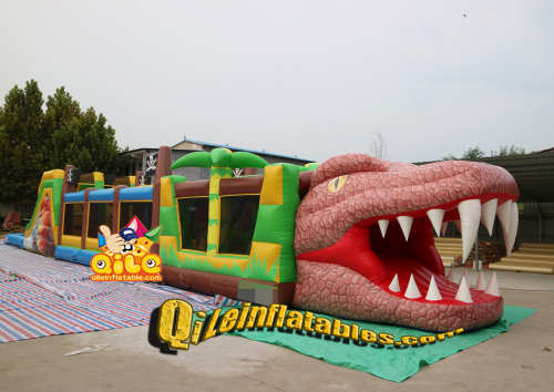 QILE-DT010