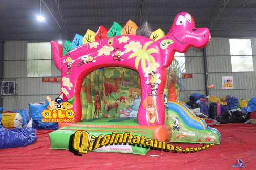 QILE2024008