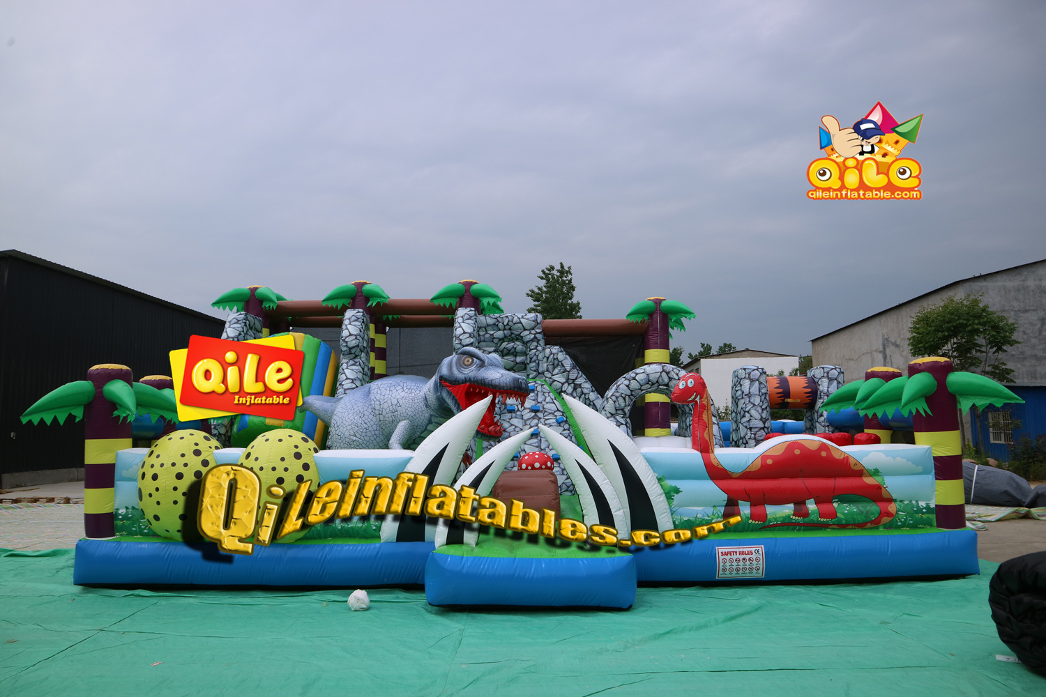 QILE-IP020