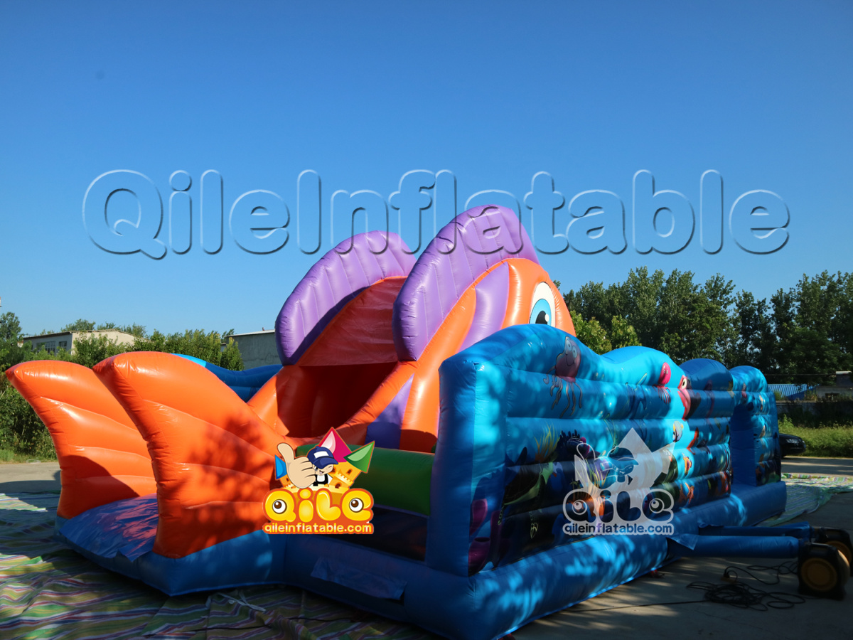 QILE-IP025