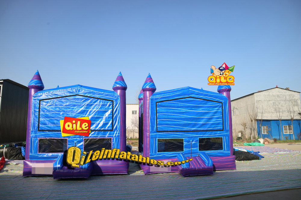 QILE2023013