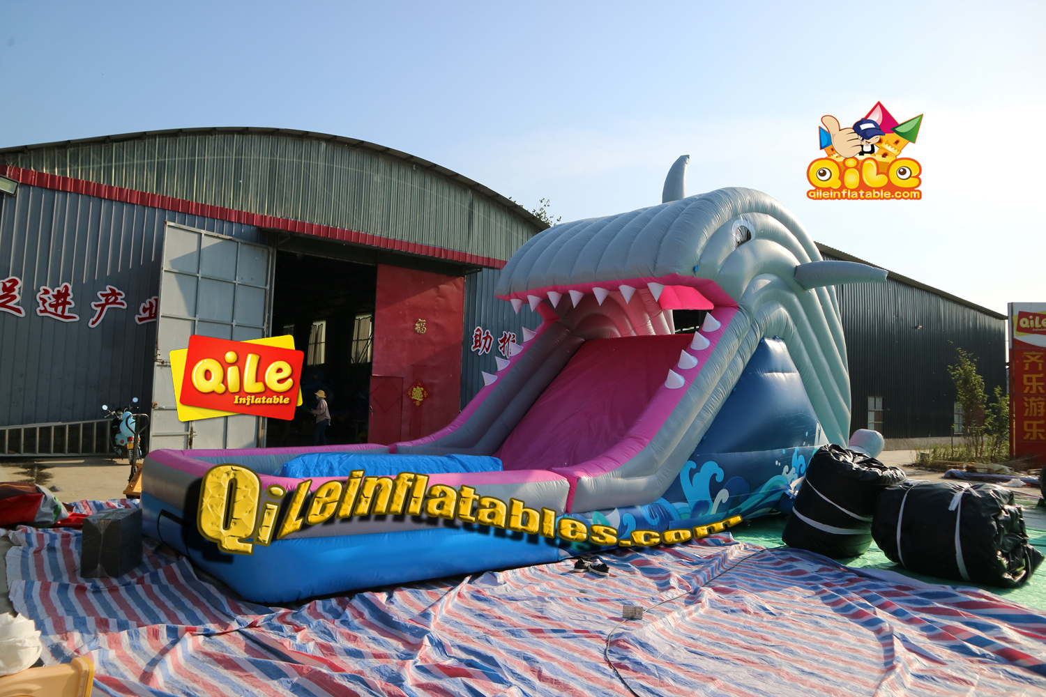 QILE-E046