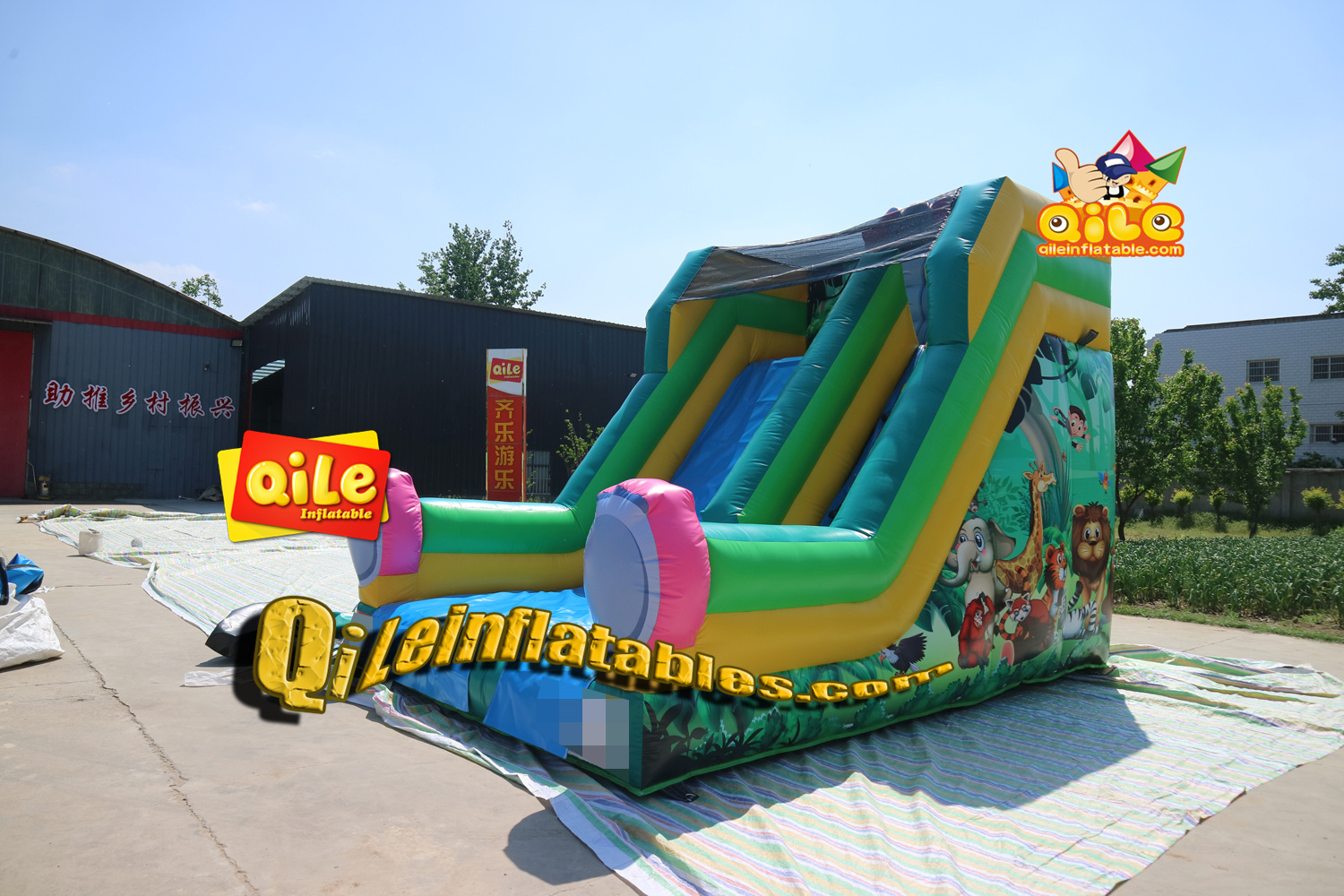 QILE-D033