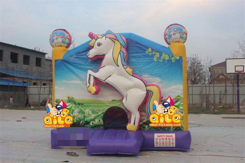 QILE-B018
