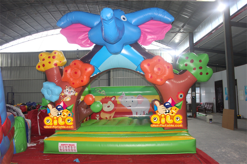 QILE-B020