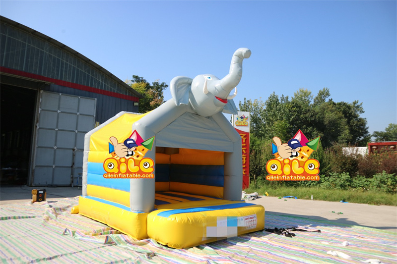 QILE-B046