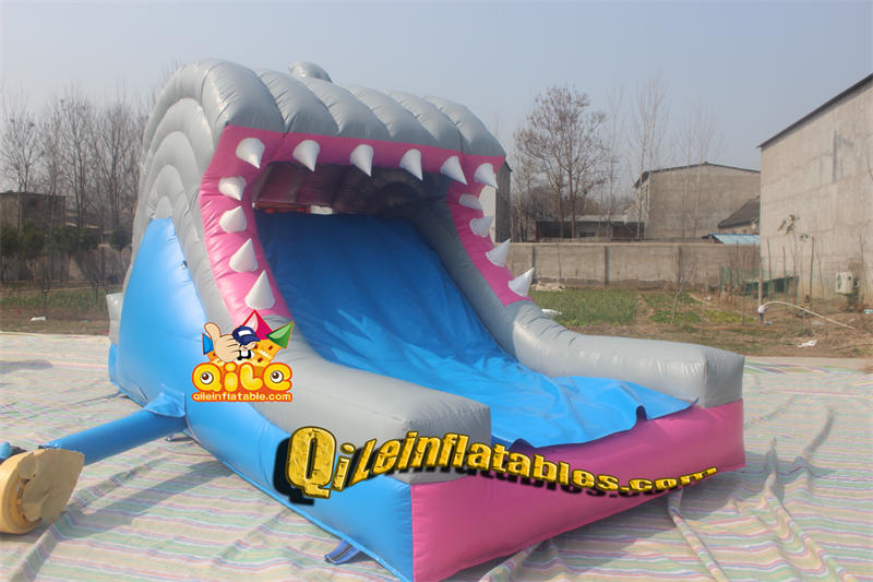 QILE-D037