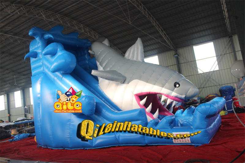 QILE-D134