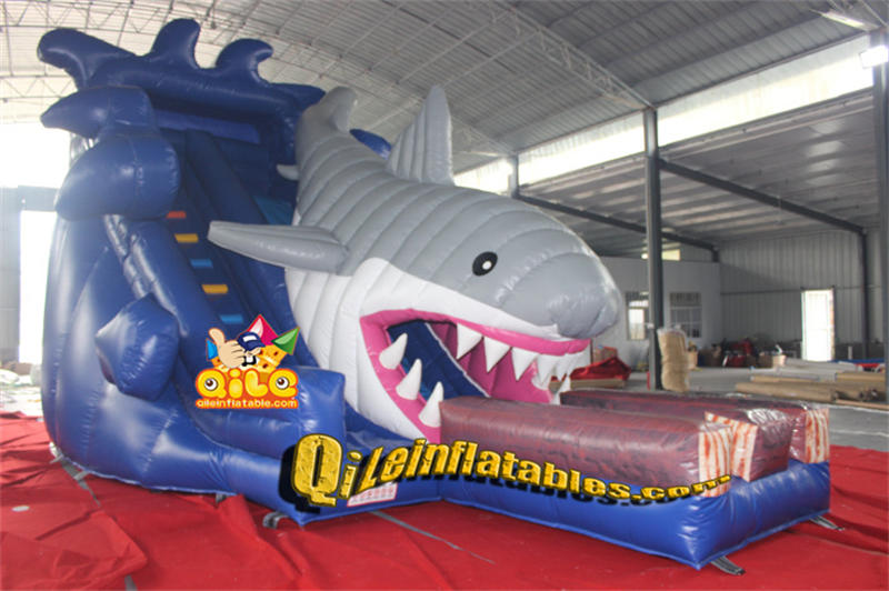 QILE202406401