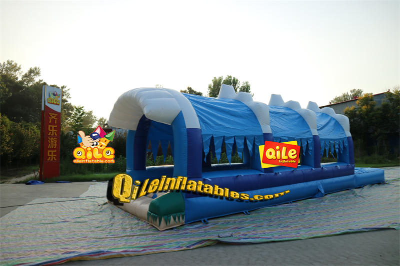 QILE-E202