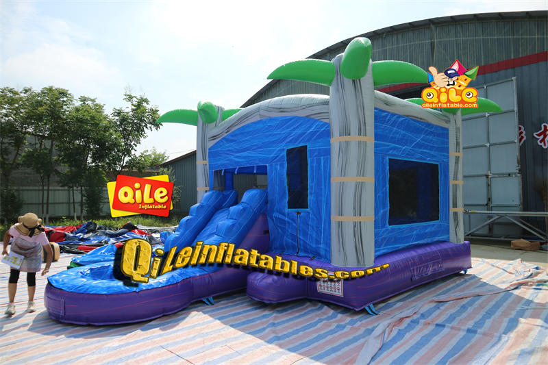 QILE-CO137
