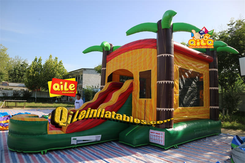 QILE-CO139