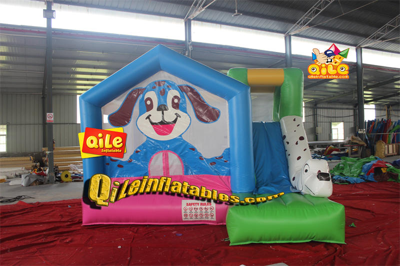 QILE-CO181