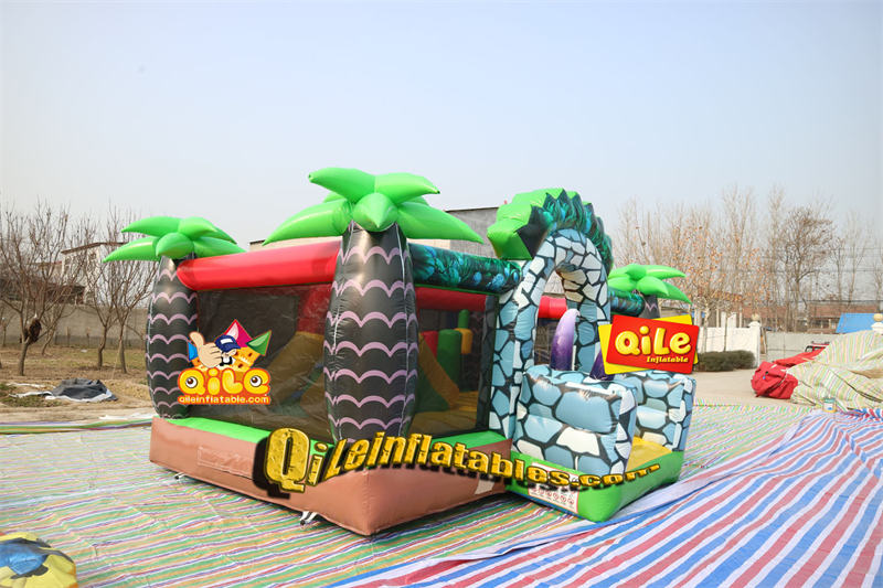 QILE-CO195