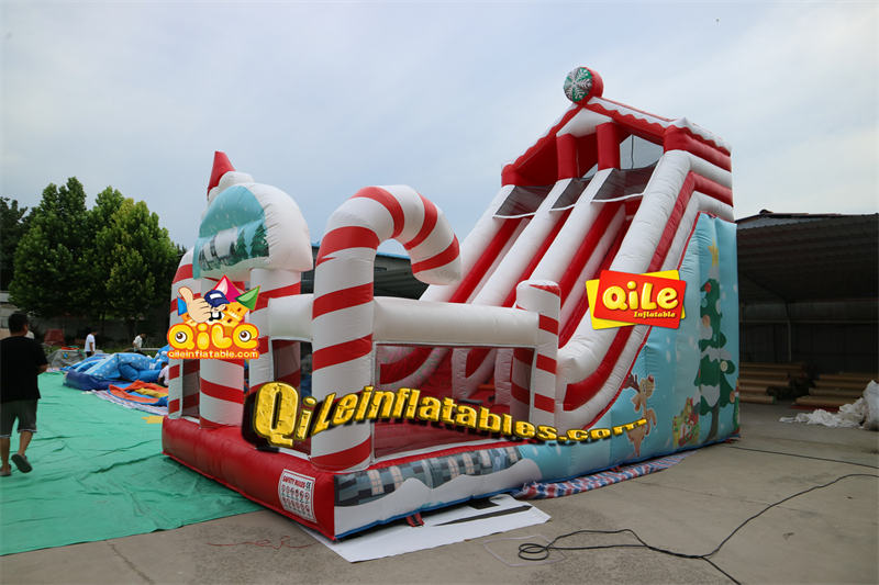 QILE202307502