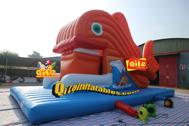 QILE202308602