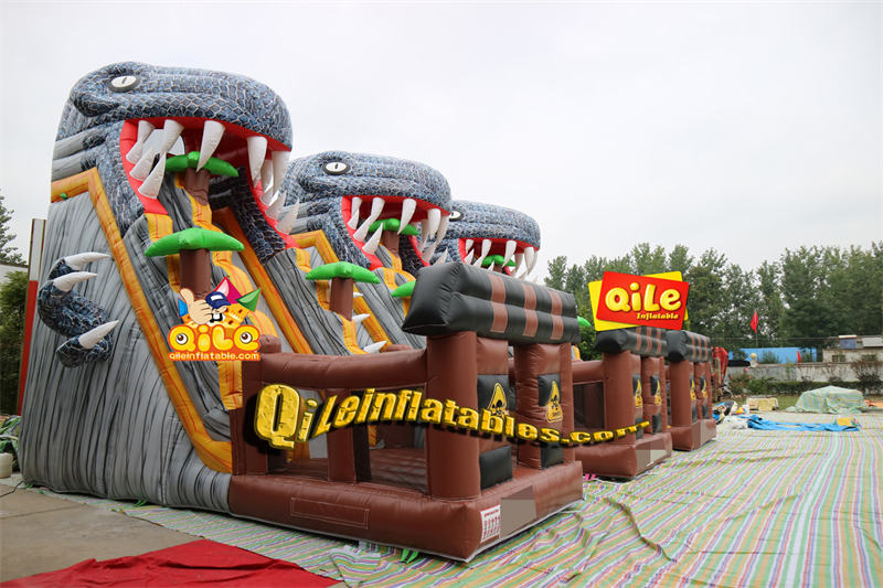 QILE2023156