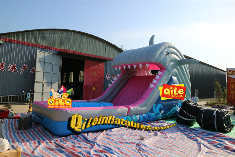 QILE-E300