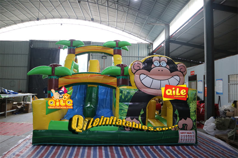QILE-CO229