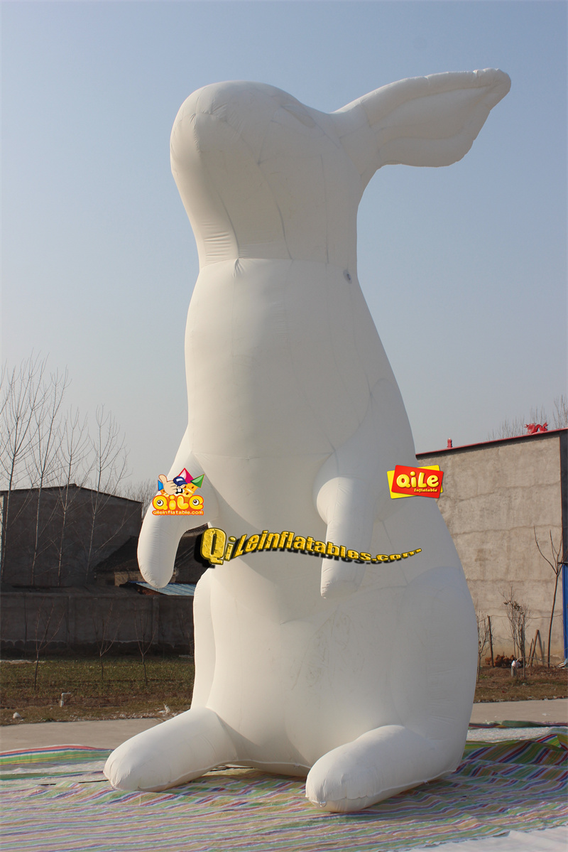 QILE-C008