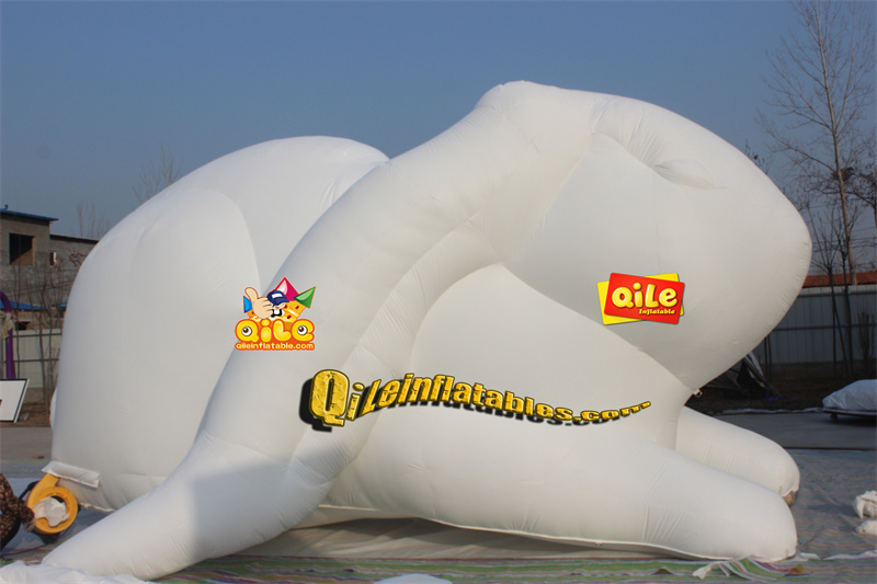 QILE-C009