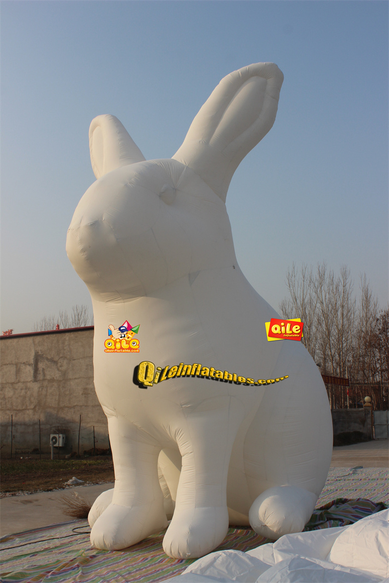 QILE-C010
