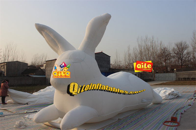 QILE-C011
