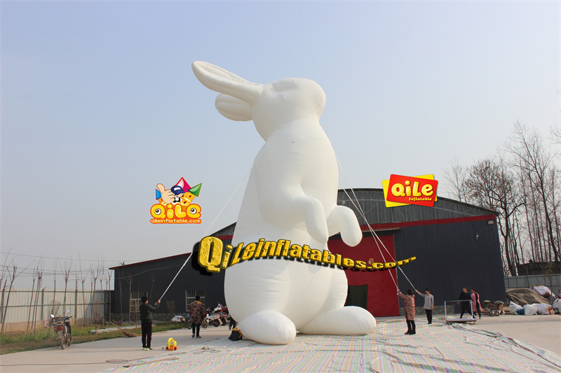 QILE-C013
